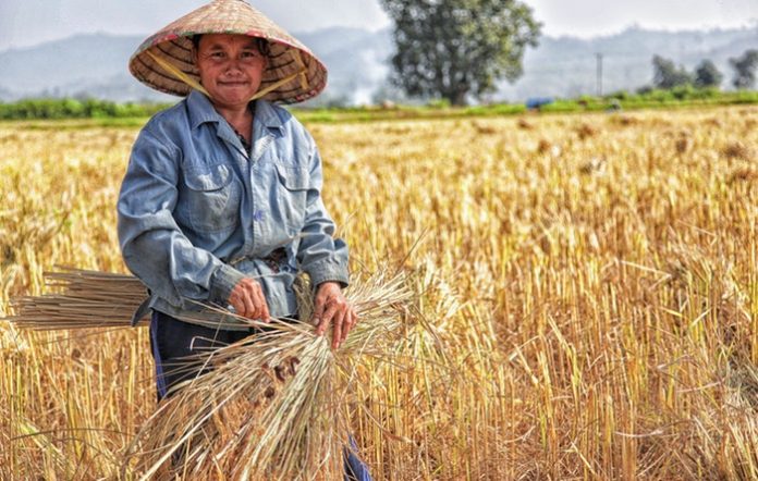 Rural Economy Funding Scheme For Bumiputera Entrepreneurs