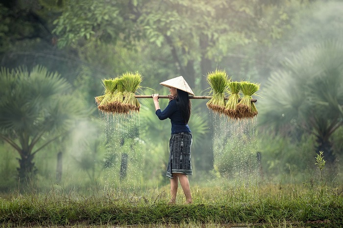 Tricks And Tips To Be A Successful Tour Guide In Malaysia