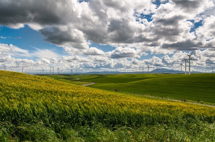Business Idea For Green And Clean Energy In Malaysia