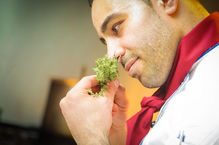 Business Idea For Personal Or Specialized Chef In Malaysia