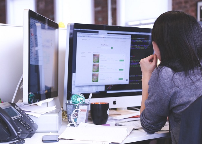 Business Idea for Virtual Customer Services in Malaysia