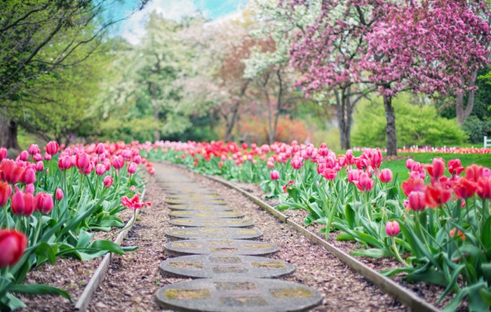 Best Ways to Conduct a Business of Landscaping in Malaysia